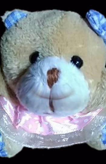 EGG'S CAFE 　入院中編？