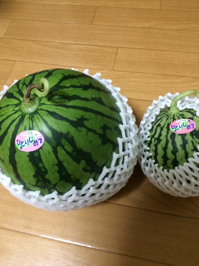 【新トピ・北関東板】のんびり☆ゆるゆる☆出入り自由だぁ♪みんなぁ集まれ～♪(*^^*)