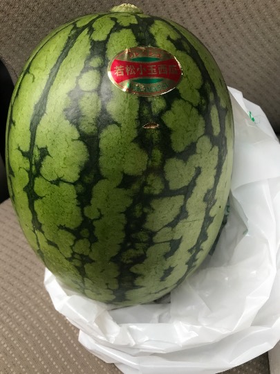 東海エリア界OPEN(o^^o)地元ネタ内輪ネタその他モロモロ、心ゆくまで大脱線♡