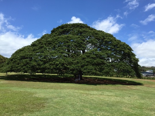 【コス通雑談板旅行記】あなたの旅行記☆披露しませんか♪想い出写真の披露・現地情報交換等☆