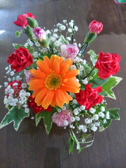 生き物ルーム第7段