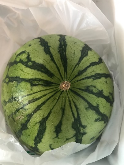 東海エリア界OPEN(o^^o)地元ネタ内輪ネタその他モロモロ、心ゆくまで大脱線♡