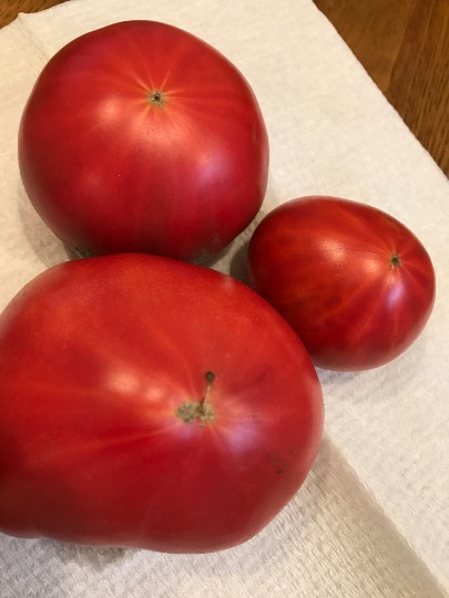 vol.3南関東イドバタ会議話し足りない人はこちら。愛調南関東連合ありのままで喋りましょう！