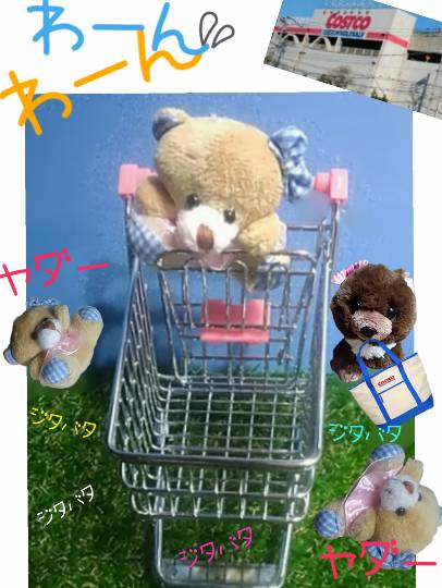 つぶやきコーナー37