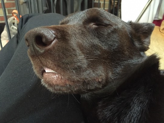 生き物ルーム第7段