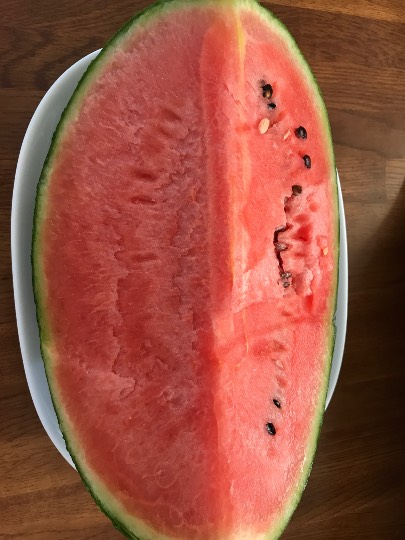 東海エリア界OPEN(o^^o)地元ネタ内輪ネタその他モロモロ、心ゆくまで大脱線♡