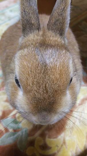 生き物ルーム第7段