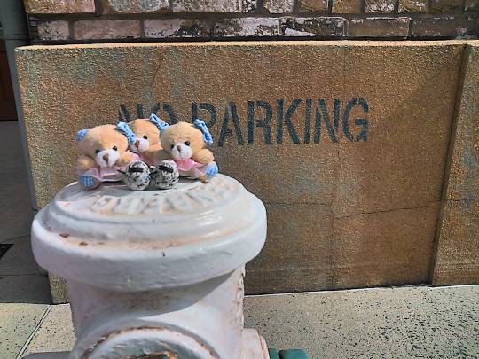 つぶやきコーナー、その38