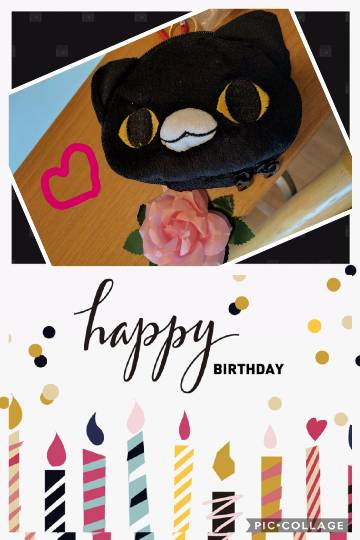 生き物ルーム第7段