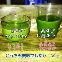 森半の抹茶プリンの素