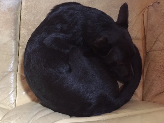 生き物ルーム第7段