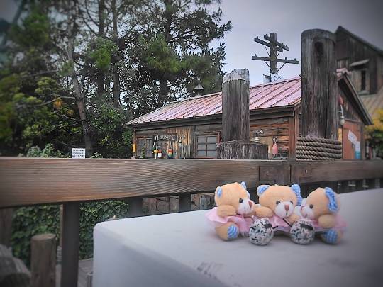 つぶやきコーナー、その38