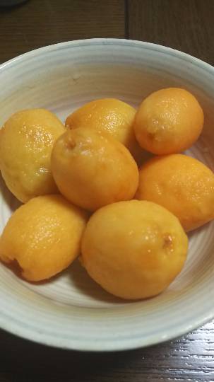 つぶやきコーナー37