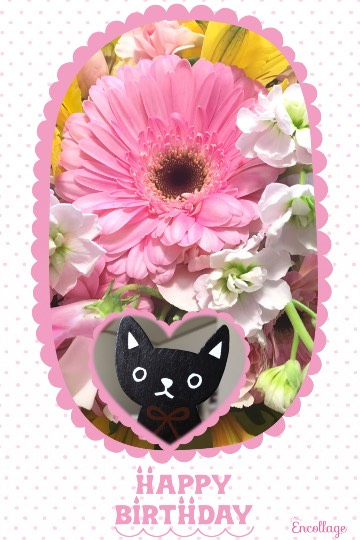 生き物ルーム第7段