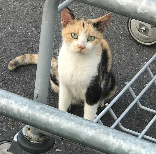 東海エリア界 ナンバーーー２♪