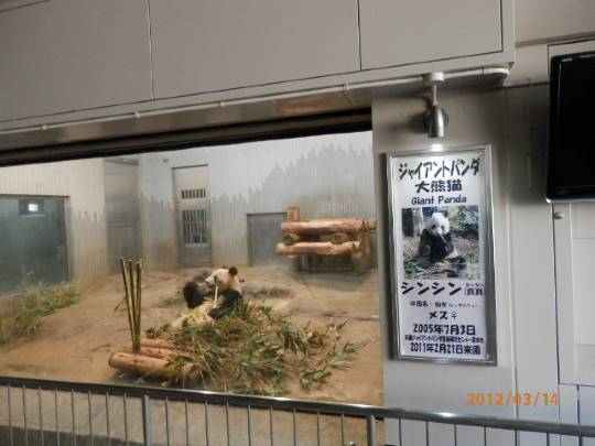 生き物ルーム第7段