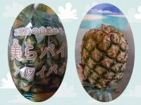 石垣島美らパインの食べ頃