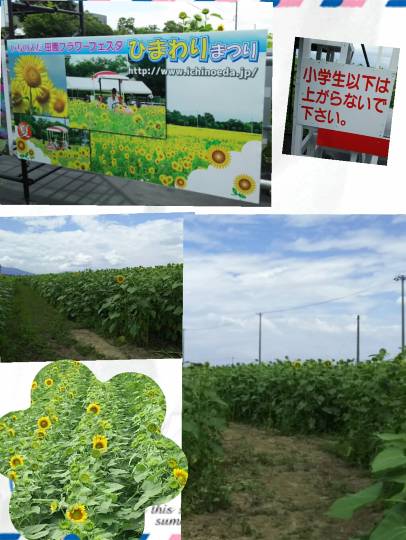 つぶやきコーナー 39 Thank You♡