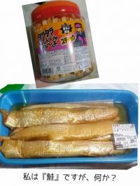 7/14(金)シーサイド情報を小刻みで送ります