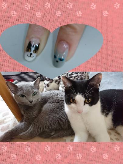 生き物ルーム第7段