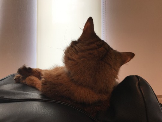 パンを語ろうパート3