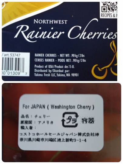 レイニアチェリーワシントン産 美味～