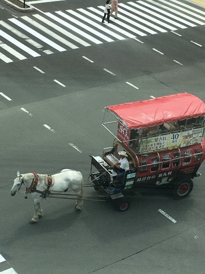 生き物ルーム第7段
