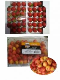 7/14(金)シーサイド情報を小刻みで送ります