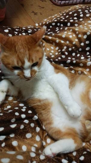 生き物ルーム第7段