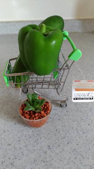 【北関東板・第 2 集】北関東板トピ(о´∀`о)どちら様もお気軽にお越しくださいﾏｾ♪