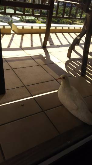 【北関東板・第 2 集】北関東板トピ(о´∀`о)どちら様もお気軽にお越しくださいﾏｾ♪