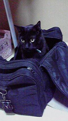 懺悔の舘(軽いの限定でスッキリ告白しませんか？)