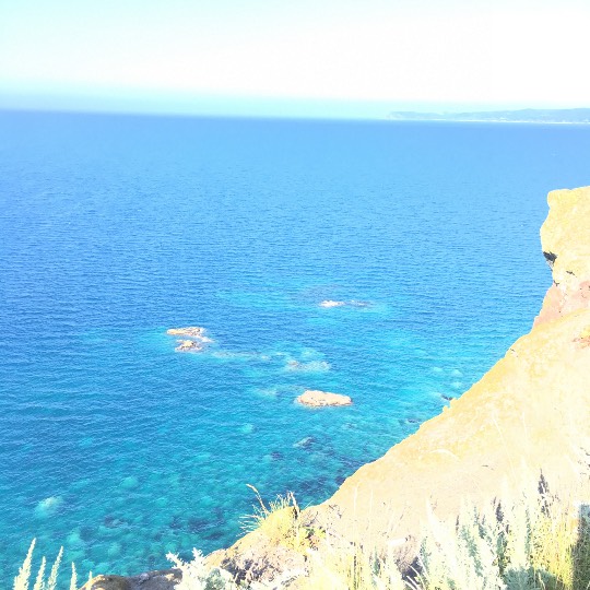 つぶやきコーナー 39 Thank You♡