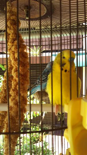 【北関東板・第 2 集】北関東板トピ(о´∀`о)どちら様もお気軽にお越しくださいﾏｾ♪