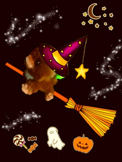 【北関東板・第 2 集】北関東板トピ(о´∀`о)どちら様もお気軽にお越しくださいマセ♪