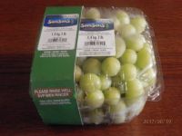 8/19(土)多摩境情報です。【マルティネルアップルジュース、オキシクリーンあり】