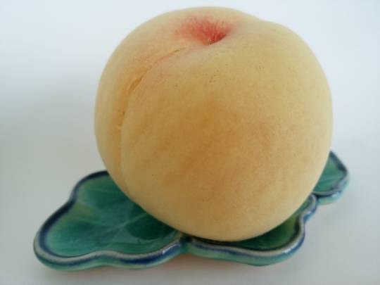 つぶやきコーナー 39  Thank You♡