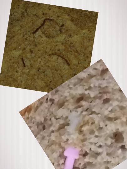 パンを語ろうパート3