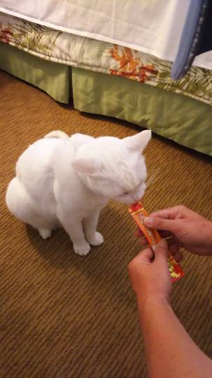 【北関東板・第 2 集】北関東板トピ(о´∀`о)どちら様もお気軽にお越しくださいﾏｾ♪