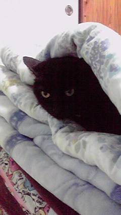 懺悔の舘(軽いの限定でスッキリ告白しませんか？)