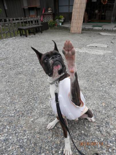 vol.5南関東イドバタ会議話し足りない人はこちら。愛調南関東連合ありのままで喋りましょう！