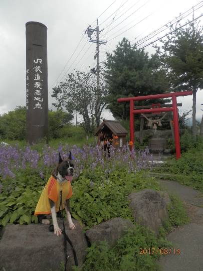 vol.5南関東イドバタ会議話し足りない人はこちら。愛調南関東連合ありのままで喋りましょう!