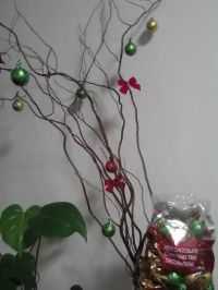 9月25日(月)19時頃の情報。