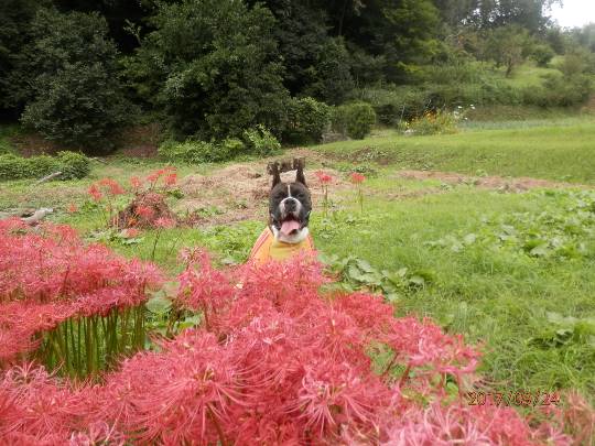 vol.5南関東イドバタ会議話し足りない人はこちら。愛調南関東連合ありのままで喋りましょう！
