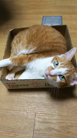 【北関東板・第 2 集】北関東板トピ(о´∀`о)どちら様もお気軽にお越しくださいマセ♪