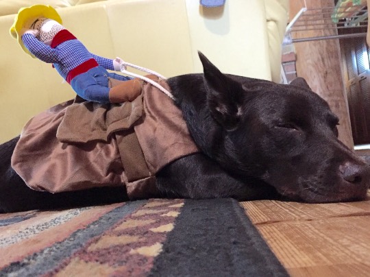 生き物ルーム第7段