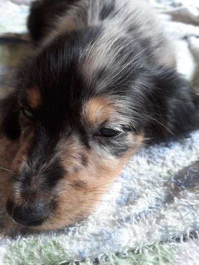 生き物ルーム第7段