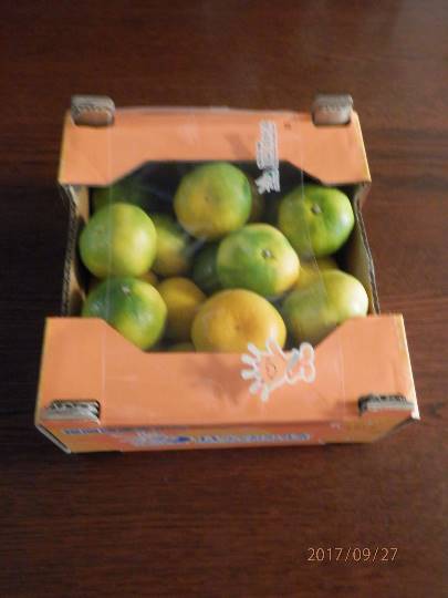 vol.5南関東イドバタ会議話し足りない人はこちら。愛調南関東連合ありのままで喋りましょう!