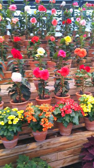 東海エリア界 ナンバーーー２♪