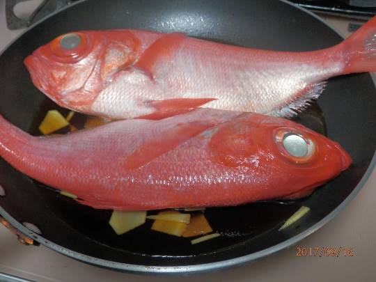 vol.5南関東イドバタ会議話し足りない人はこちら。愛調南関東連合ありのままで喋りましょう！